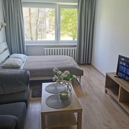 Modern Studio Debreceno, Self-Check-In, Free Parking Klaipėda Eksteriør billede